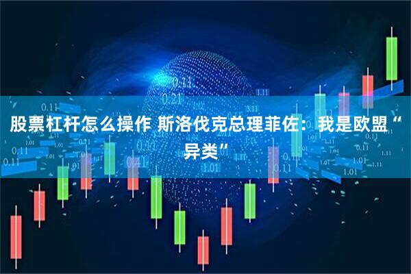 股票杠杆怎么操作 斯洛伐克总理菲佐：我是欧盟“异类”